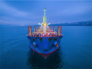 Read more about the article Sea