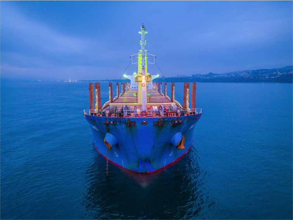 Read more about the article Sea